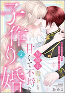 黒騎士殿下と甘くて不埒な子作り婚 悪役にされた令嬢はイかされ啼かされ暴かれる【かきおろし漫画付】　（2）