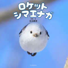 ロケットシマエナガ