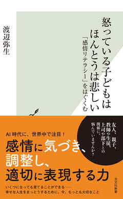 怒っている子どもはほんとうは悲しい～「感情リテラシー」をはぐくむ～
