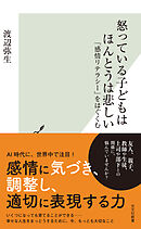 怒っている子どもはほんとうは悲しい～「感情リテラシー」をはぐくむ～