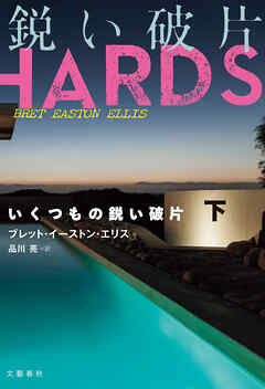 いくつもの鋭い破片　下