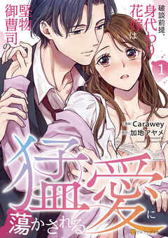 【期間限定　試し読み増量版】破談前提、身代わり花嫁は堅物御曹司の猛愛に蕩かされる