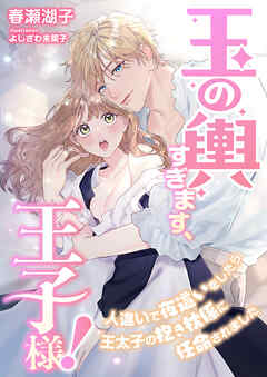 玉の輿すぎます、王子様！ ～人違いで夜這いをしたら王太子の抱き枕係に任命されました～