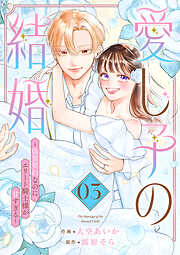 愛し子の結婚～偽装契約なのにエリート騎士様が甘すぎる～【電子単行本版／特典おまけ付き】