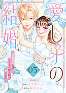 愛し子の結婚～偽装契約なのにエリート騎士様が甘すぎる～【電子単行本版／特典おまけ付き】３