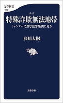 ルポ　特殊詐欺無法地帯　ミャンマーに潜む犯罪集団に迫る
