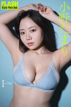 FLASHデジタル写真集　小野たまり　Iの才能