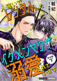 人違いでレンタルしたイケメンヤクザに溺愛されています　完全版　下