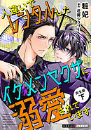 人違いでレンタルしたイケメンヤクザに溺愛されています　完全版　下