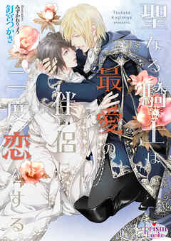 聖なる騎士は最愛の伴侶に二度恋をする【電子限定特典付】【イラスト入り】