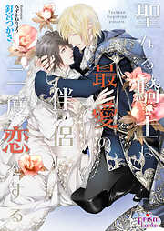 聖なる騎士は最愛の伴侶に二度恋をする【電子限定特典付】【イラスト入り】