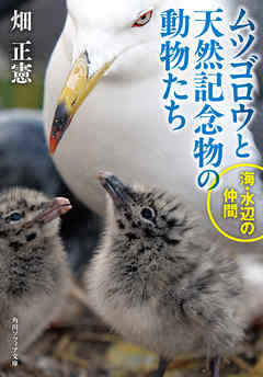 ムツゴロウと天然記念物の動物たち 海 水辺の仲間 漫画 無料試し読みなら 電子書籍ストア ブックライブ