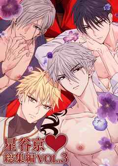 星谷京 総集編 VOL.3【棒修正版】