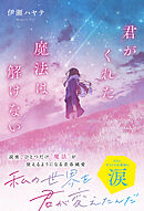 君がくれた魔法は解けない