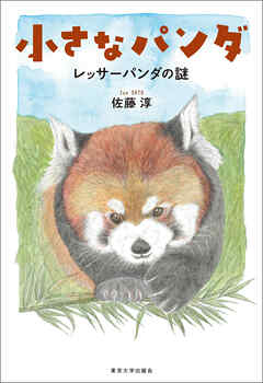 小さなパンダ　レッサーパンダの謎