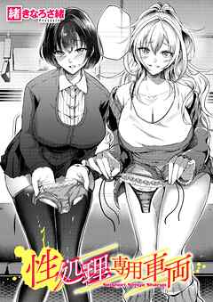 性処理専用車両