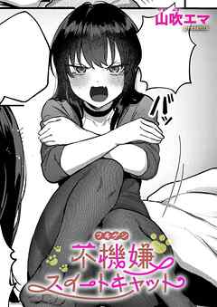 不機嫌スイートキャット