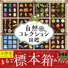 自然のコレクション図鑑