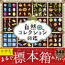 自然のコレクション図鑑