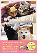 ももと天空の月 犬猫４きょうだいと暮らしています