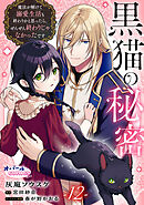 黒猫の秘密～魔法が解けて溺愛生活も終わりかと思ったら、ぜんぜん終わりじゃなかったです～１２