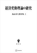 青山秀夫著作集３：経済変動理論の研究