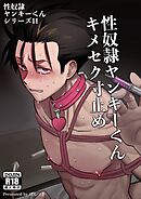 性奴隷ヤンキーくんシリーズ 11 性奴隷ヤンキーくんキメセク寸止め
