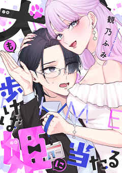 犬も歩けば姫に当たる(1)