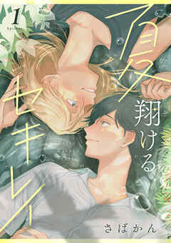 夏翔けるセキレイ1