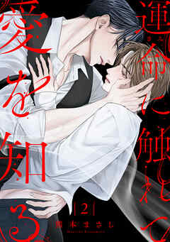 運命に触れて愛を知る2