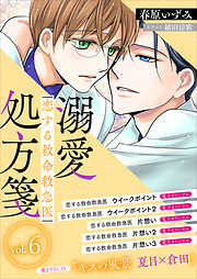 恋する救命救急医　溺愛処方箋６　【電子プレミアム】