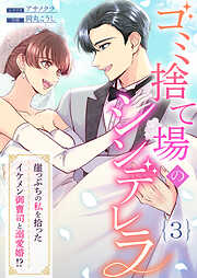 ゴミ捨て場のシンデレラ ～崖っぷちの私を拾ったイケメン御曹司と溺愛婚！？～