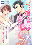 ゴミ捨て場のシンデレラ ～崖っぷちの私を拾ったイケメン御曹司と溺愛婚！？～（3）