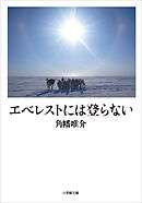 エベレストには登らない