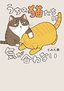 うちの猫たちは気が合わない