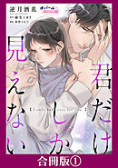君だけしか見えない【合冊版】１