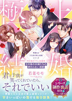 〈華麗なる三兄弟の極上結婚シリーズ〉特別書き下ろし短編集～その後の夫婦たちの終わらない溺愛～【シリーズ制作裏話付き】