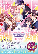 〈華麗なる三兄弟の極上結婚シリーズ〉特別書き下ろし短編集～その後の夫婦たちの終わらない溺愛～【シリーズ制作裏話付き】