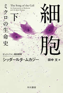 細胞―ミクロの生命史― 下