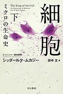 細胞―ミクロの生命史― 下