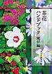 茶花ハンドブック　風炉編