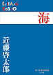 P+D BOOKS　海