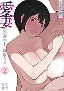 愛妻 同意の上、寝取られ(2)～小川家の場合～