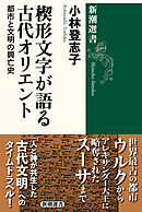 楔形文字が語る古代オリエント―都市と文明の興亡史―（新潮選書）