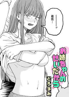 お姉ちゃんのせいだから