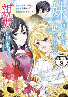 妹に何もかも奪われたら親友が出来ました。～虐げられ令嬢と呪われドレスの謎令嬢～　分冊版（３）