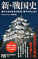 新・戦国史　城から迫る乱世の終焉、泰平のはじまり