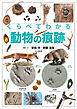 くらべてわかる動物の痕跡