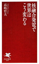 核融合発電で世界はこう変わる