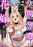 大魔術師の花嫁～快楽実験のために娶られた私【フルカラー】(2)
